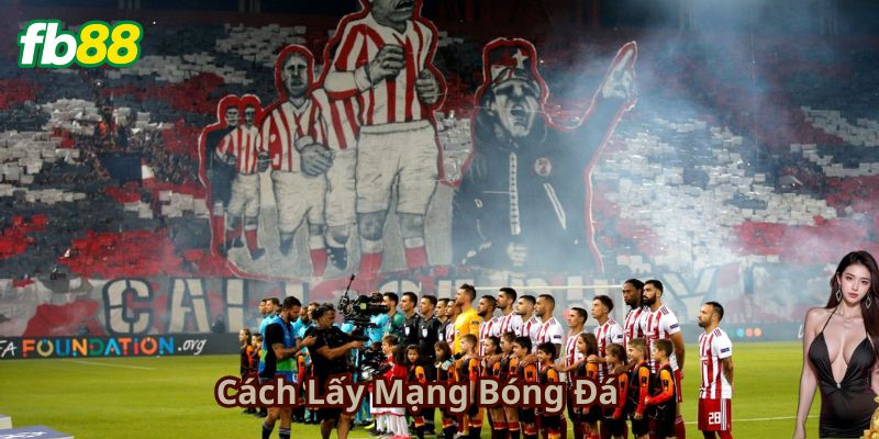 Mạng Bóng Đá Là Gì?