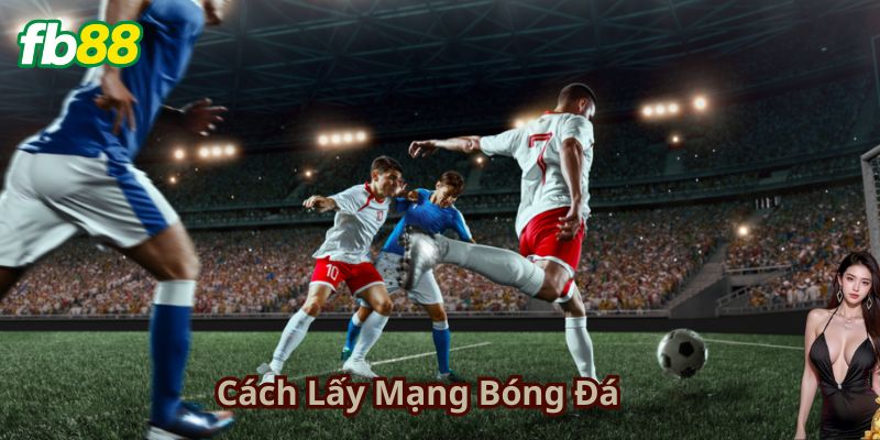Cách Lấy Mạng Bóng Đá Với Chiến Lược Cá Cược Hiệu Quả