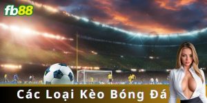 Các Loại Kèo Bóng Đá: Giới Thiệu và Chiến Thuật Hiệu Quả