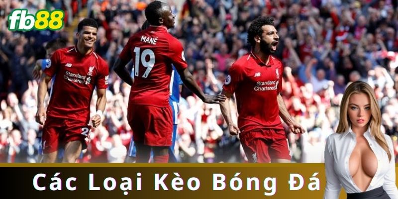 Hiểu Rõ Các Loại Kèo Bóng Đá