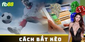 Các Loại Kèo Phổ Biến Tại FB88