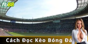 Cách Đọc Kèo Bóng Đá: Hướng Dẫn Chi Tiết Cho Người Mới