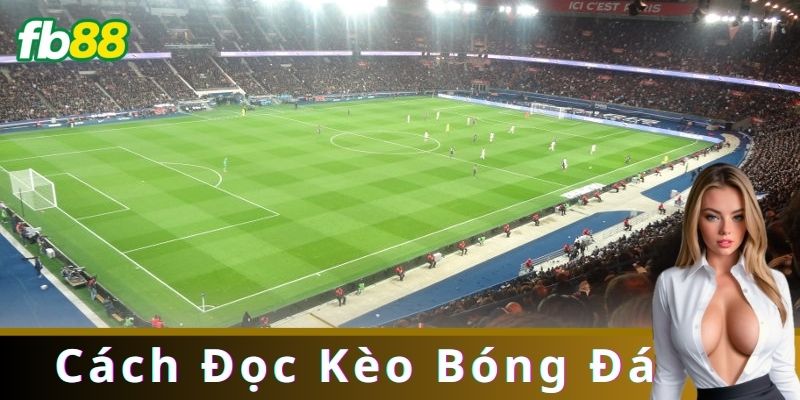 Hướng Dẫn Cách Đọc Kèo Bóng Đá