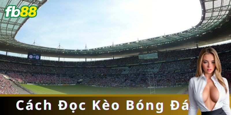 Cách Đọc Kèo Bóng Đá: Hướng Dẫn Chi Tiết Cho Người Mới