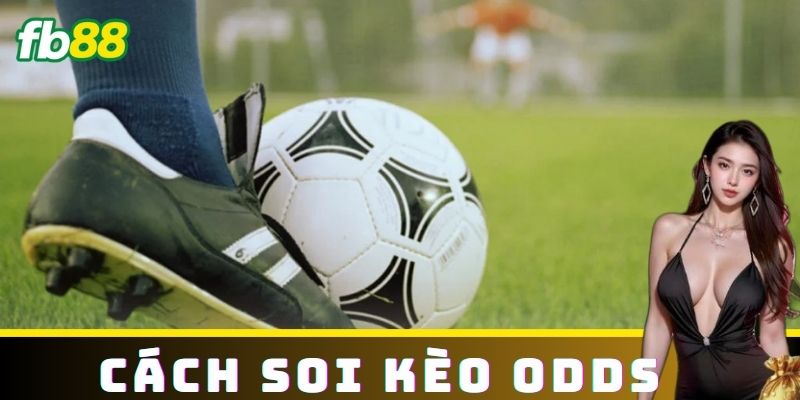 Các Loại Kèo Odds Phổ Biến