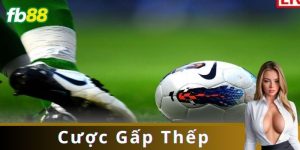 Cược Gấp Thếp: Hướng Dẫn Cách Chơi Hiệu Quả Nhất