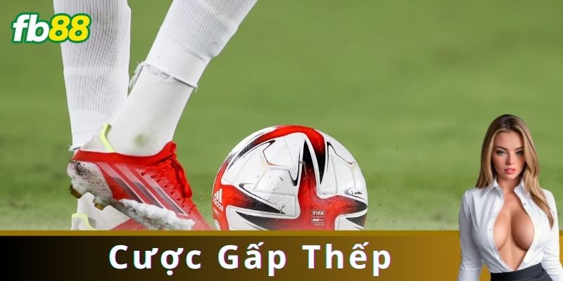Cược Gấp Thếp Là Gì?
