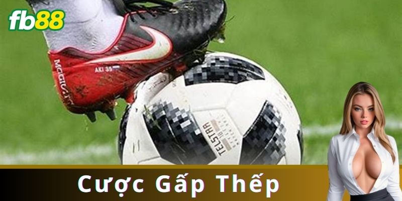 Chiến Thuật Chơi Cược Gấp Thếp Hiệu Quả