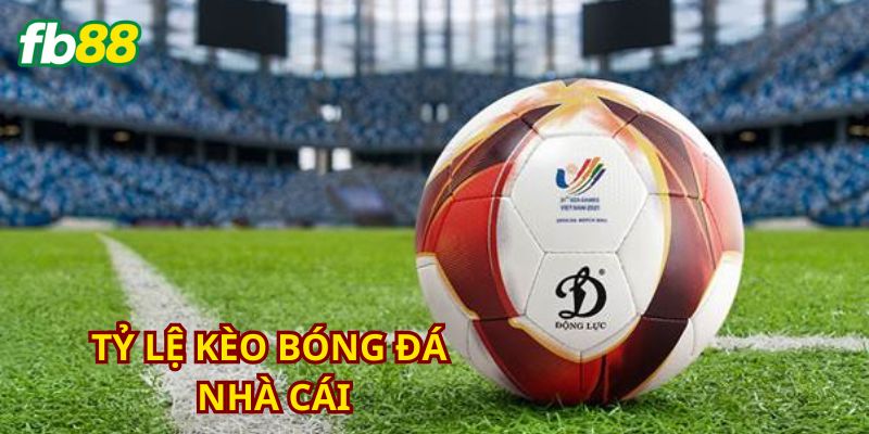 Đa dạng hình thức cược đáp ứng nhu cầu người chơi