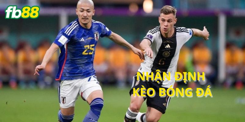 Đảm bảo việc đặt cược hợp lý và không quá nhiều