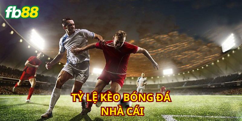 Điều kiện sân bãi luôn là yếu tố quan trọng