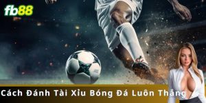 Cách Đánh Tài Xỉu Bóng Đá Luôn Thắng: Bí Quyết Cho Các Bet Thủ