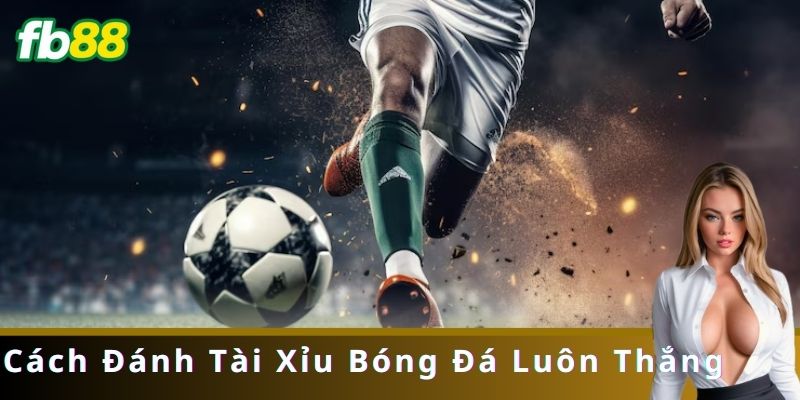 Cược Tài Xỉu Bóng Đá là gì?