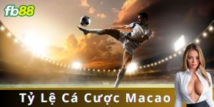 Tỷ Lệ Cá Cược Macao: Tìm Hiểu Và Sử Dụng Hiệu Quả