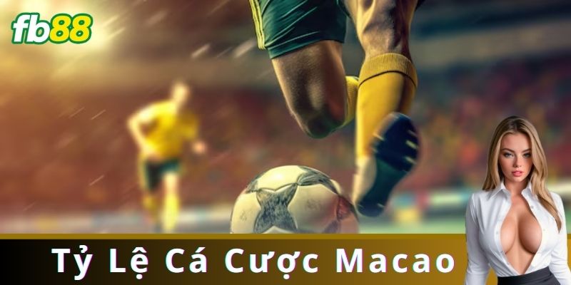 Các loại Tỷ Lệ Cá Cược Macao phổ biến