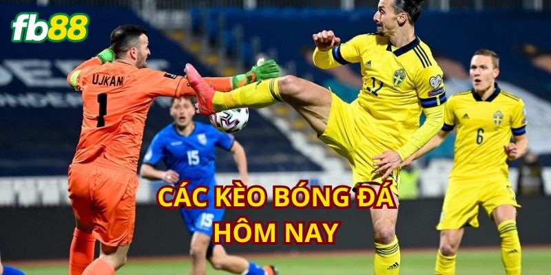 Kiến thức cần biết về các loại kèo bóng đá phổ biến