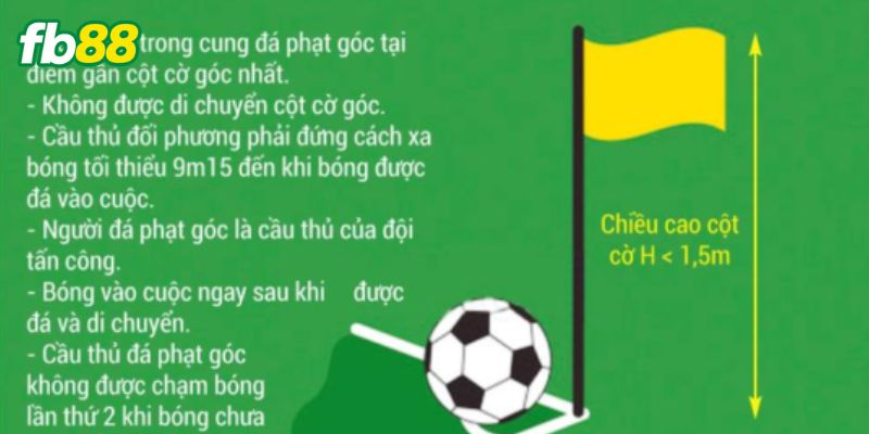 Luật bóng đá dễ hiểu cho người mới