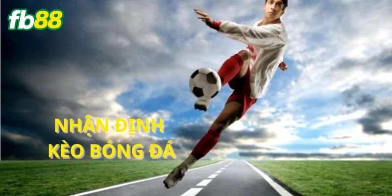 Thu thập dữ liệu về các cầu thủ quan trọng