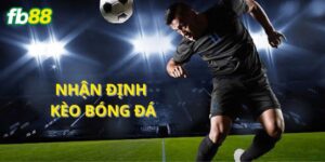 Tổng quan thông tin về cách nhận định kèo cược