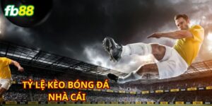 Tổng quan thông tin về tỷ lệ kèo bóng đá đầy cuốn hút