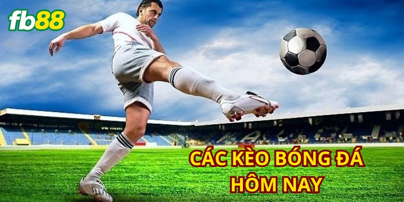 Tổng quan về các kèo bóng đá tại nhà cái