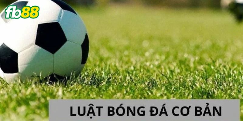 Tổng quan về luật bóng đá