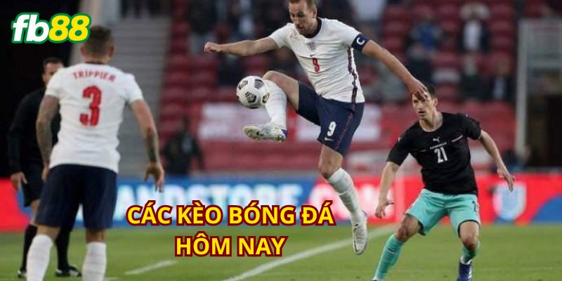 Vài điều nên làm trước khi tham gia chơi kèo cược