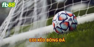 Giới thiệu sơ lược về việc coi kèo bóng đá đầy thú vị