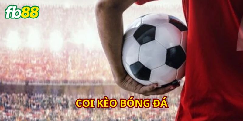 Học hỏi kinh nghiệm quản lý tài chính từ cao thủ