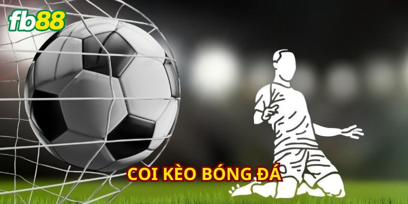 Tra cứu mọi thông tin liên quan đến kèo cược